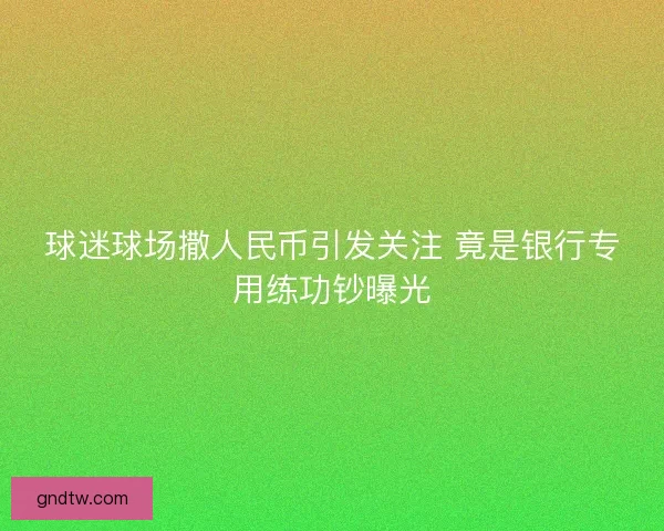 球迷球场撒人民币引发关注 竟是银行专用练功钞曝光